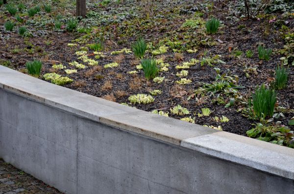 Concrete Wall Construction in New Orleans